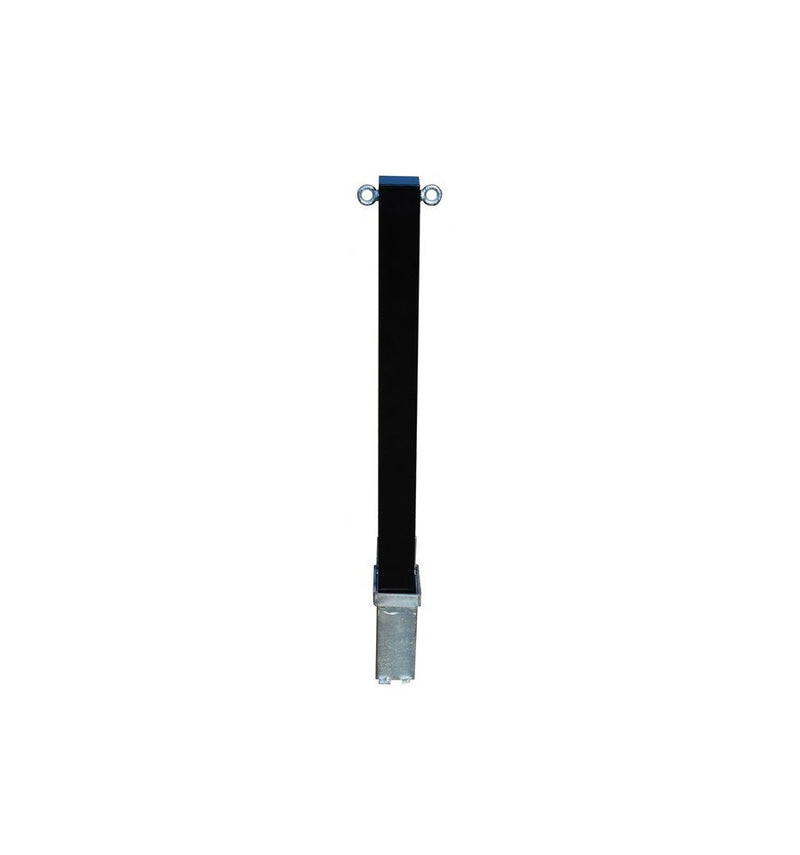 Removable Security Post With Top Mounted Eyelet